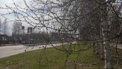 В БЛИЖАЙШИЕ СУТКИ В ЮГРЕ ОЖИДАЕТСЯ ВЕТРЕНАЯ ПОГОДА