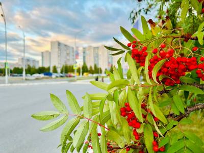 Примите участие в опросе Примите участие в опросе