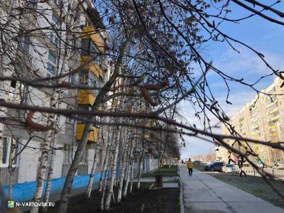 ДОВЕРЯЙТЕ, НО ПРОВЕРЯЙТЕ