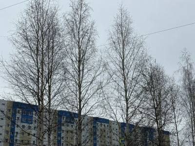 Внимание: опасные явления погоды