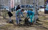На субботник всем городом