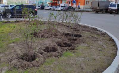 Опрос для горожан Опрос для горожан