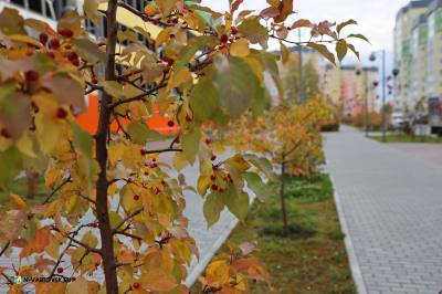 Опрос для граждан    