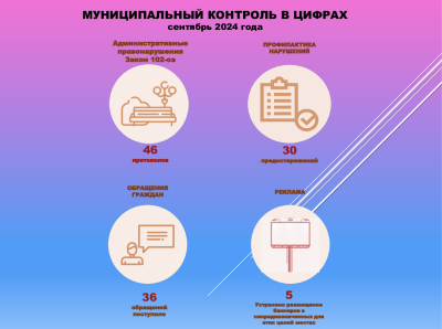 Промежуточные итоги работы службы муниципального контроля Промежуточные итоги работы службы муниципального контроля