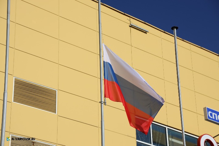 Фотография 11