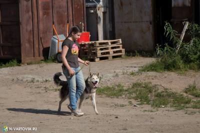 Помочь животным может каждый /ПАМЯТКА/ Помочь животным может каждый /ПАМЯТКА/