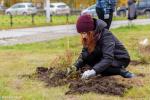 В этом году в Нижневартовске высадят 11 тысяч  деревьев и кустарников