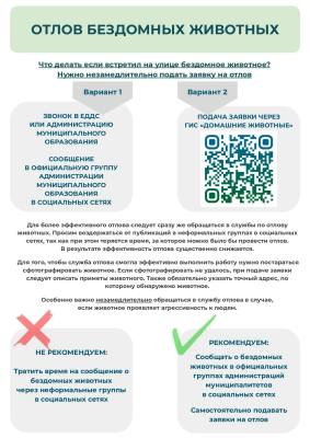 Алгоритм действий граждан при встрече с животными без владельцев Алгоритм действий граждан при встрече с животными без владельцев