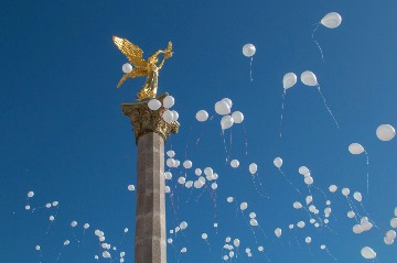 Фотография 8
