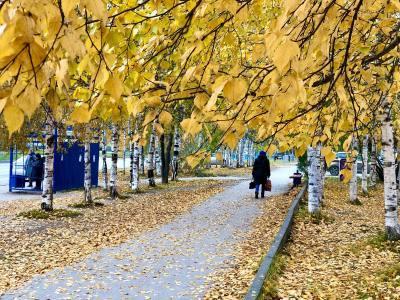 Социальная поддержка неработающих пенсионеров