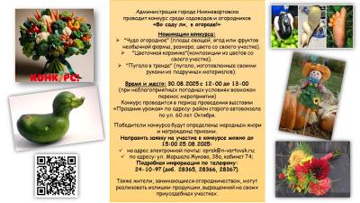 Эковдохновение: конкурс для дачников Эковдохновение: конкурс для дачников