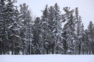 Внимание: ожидаются опасные явления погоды