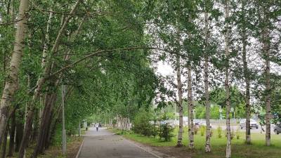 Ветреная погода сохранится   