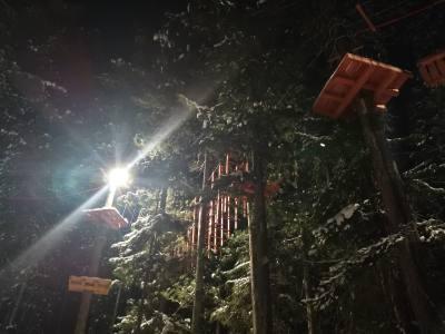 Веревочный парк – для любителей экстрима /ФОТО/ Веревочный парк – для любителей экстрима /ФОТО/