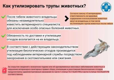 О порядке действий при заболевании, гибели животных и утилизации биологических отходов О порядке действий при заболевании, гибели животных и утилизации биологических отходов