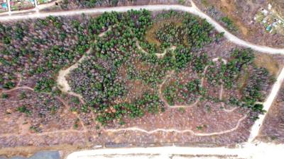 Сообщи о нарушителе