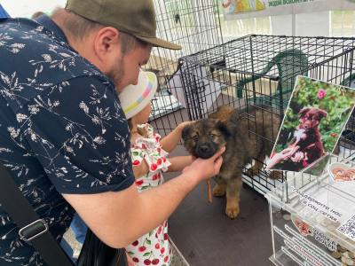 Совет по гуманному отношению к животным Совет по гуманному отношению к животным