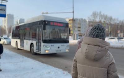 Транспортные карты для бесплатного проезда /ВИДЕО/
