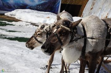 Фотография 7