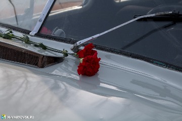 Фотография 17