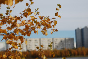 Комсомольское озеро 2013-09-29 (автор Михаил Плецкий)