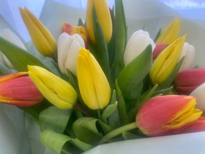 Поздравление главы города Дмитрия Кощенко с Международным женским днем! Поздравление главы города Дмитрия Кощенко с Международным женским днем!