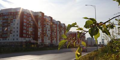 Поделитесь мнением