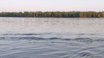 Уровень воды в Оби на 12 июня