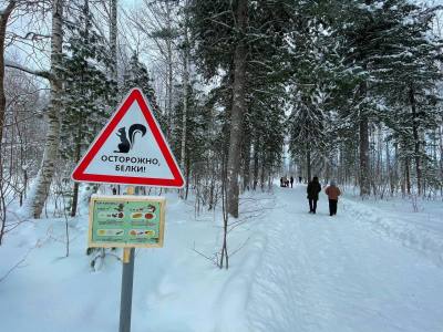 В лесном комплексе «ЯГОМ» появятся зоны для воркаута и свадебных церемоний /ФОТО/ В лесном комплексе «ЯГОМ» появятся зоны для воркаута и свадебных церемоний /ФОТО/