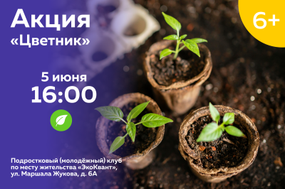 Акция "Цветник"