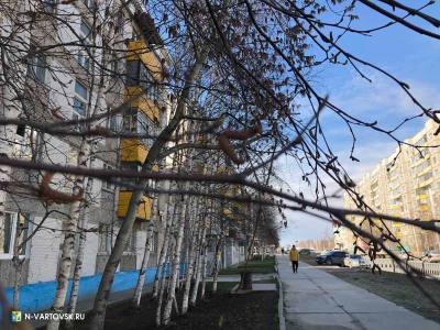 Итоги проведения оценки регулирующего воздействия  проектов муниципальных нормативных правовых актов, экспертизы и оценки фактического воздействия муниципальных нормативных правовых актов за 1 квартал 2023 года /ИНФОГРАФИКА/