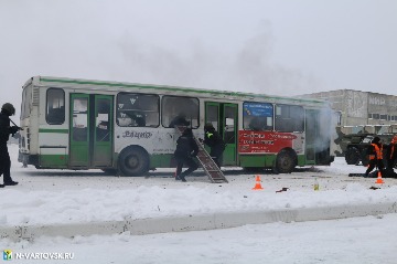 Фотография 37