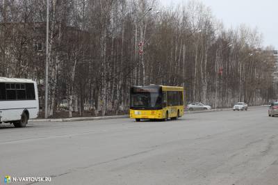 Бесплатные автобусы запустят в родительский день /СХЕМА/