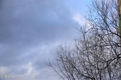 Внимание: ожидается гроза