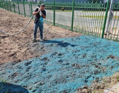 Новый для Нижневартовска метод озеленения Новый для Нижневартовска метод озеленения