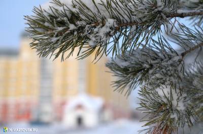 Военно-историческая выставка во Дворце искусств