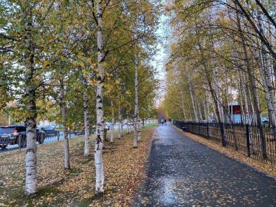  Пройди опрос   