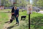 В Нижневартовске создают условия для правильного выгула животных /ФОТО/