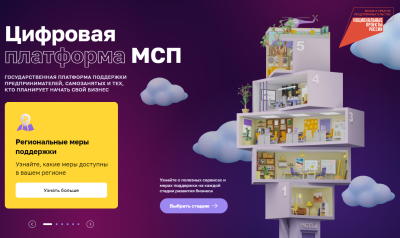 О сервисах и возможностях Цифровой платформы МСП