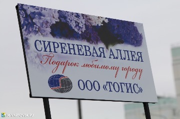 Фотография 9