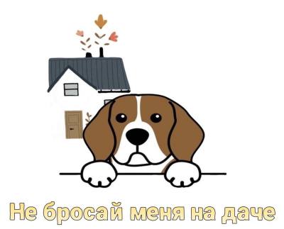 Забота вне сезона