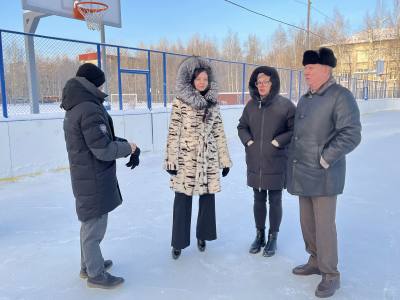 Депутаты проверили готовность ледовых катков 