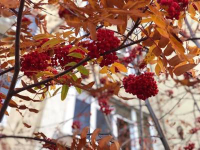 Вниманию заинтересованных лиц! Вниманию заинтересованных лиц!