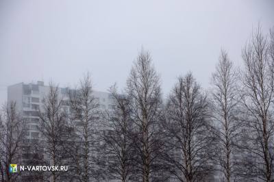 Опять непогода