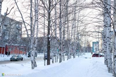 Работодатели, не забудьте предоставить информацию!