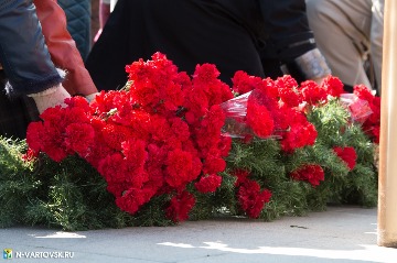 Фотография 16