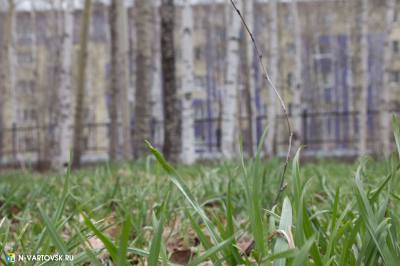 Чем опасен клещ?