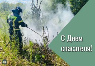 27 декабря – День спасателя РФ