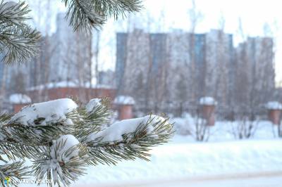 Внимание, опрос! Внимание, опрос!