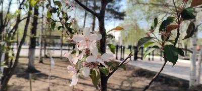 Поздравление главы города Дмитрия Кощенко с Днём эколога